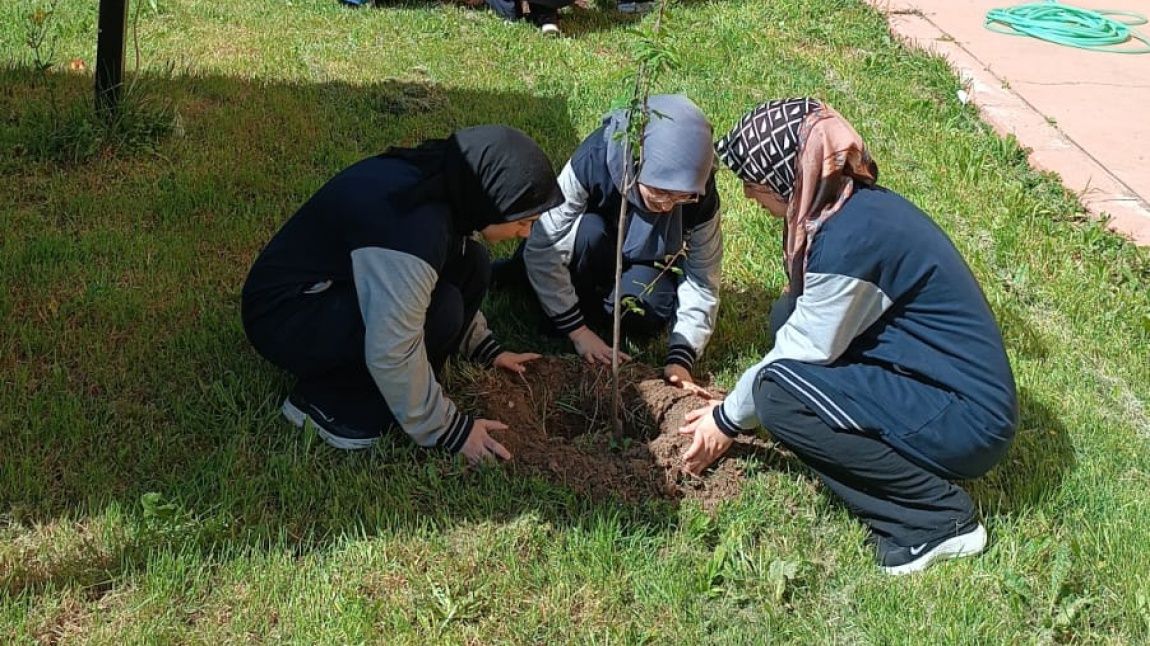 Okulumuz Bahçesi Ağaçlandırma Çalışmaları